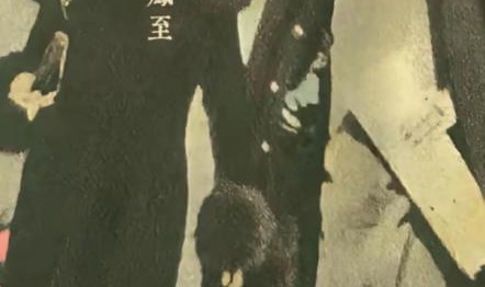 开云体育官方网址-于凤至有多美？于凤至的真实样貌，都看看吧，好多照片第一次见！