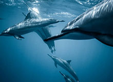 开云体育官方网址-评论丨U22男足10:0大胜不足喜，警惕“打平就出线”魔咒